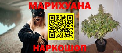 МДПВ Лесосибирск