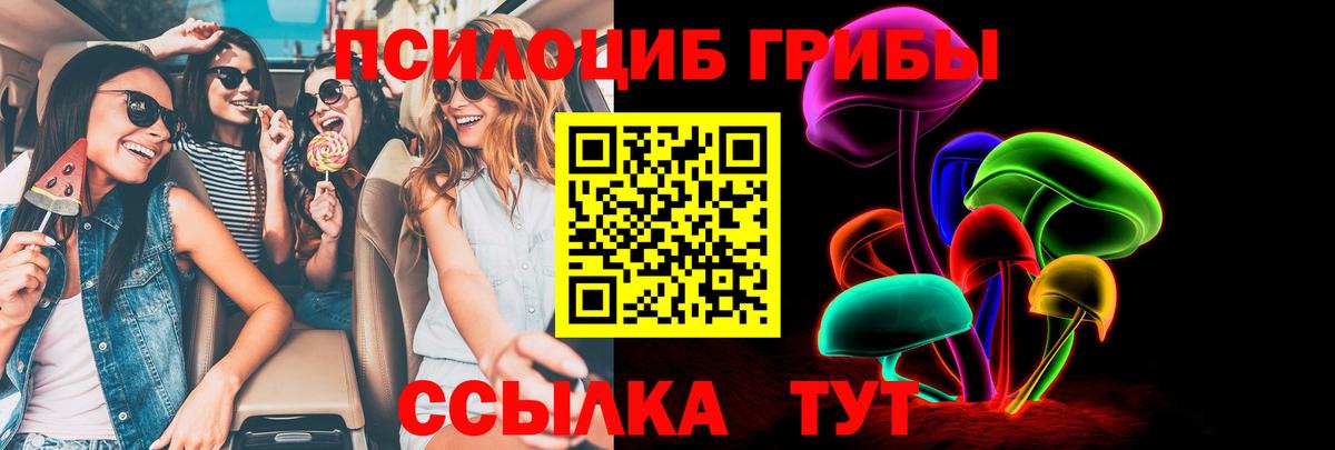 Псилоцибиновые грибы мухоморы Избербаш